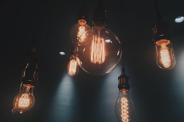 ce poate face un electrician constructor